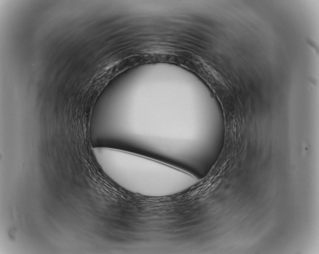 X0000098040821200803281430