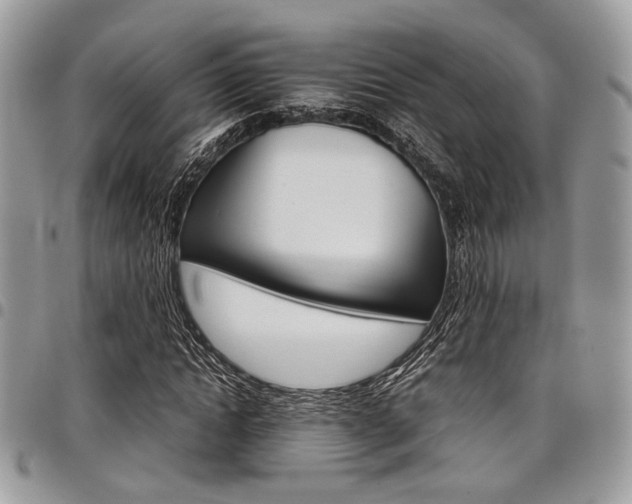 X0000098040822200803281430