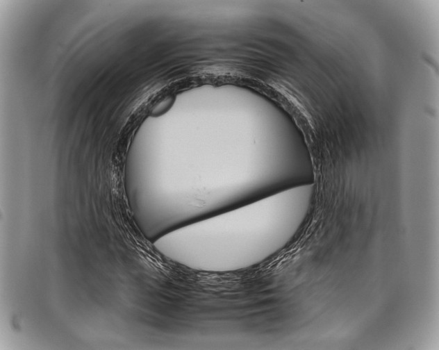 X0000098040823200803281430