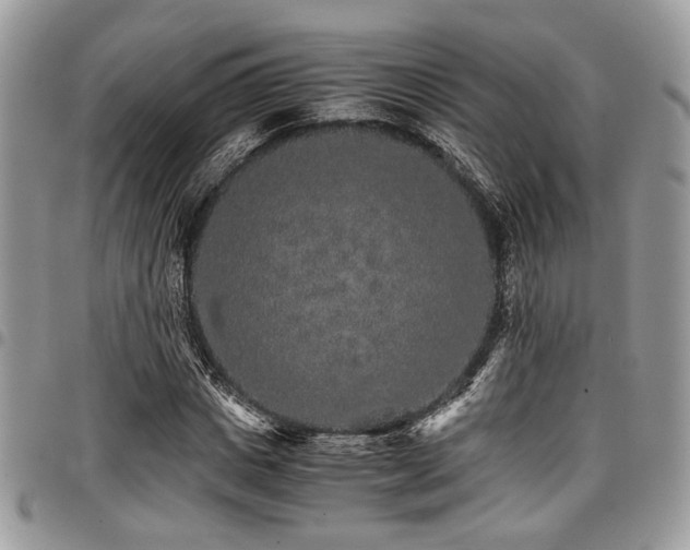 X0000098040825200803281430