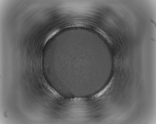 X0000098040826200803281430