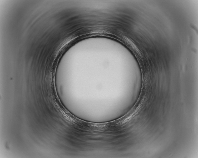 X0000098040831200803281430