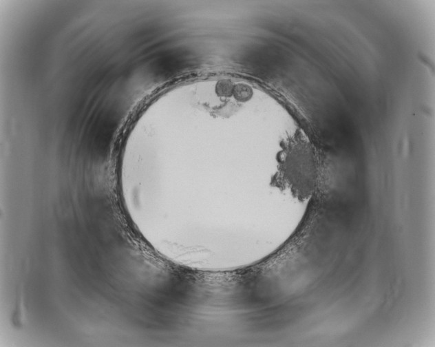 X0000098040832200803281430