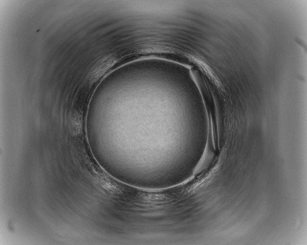 X0000098040833200803281430