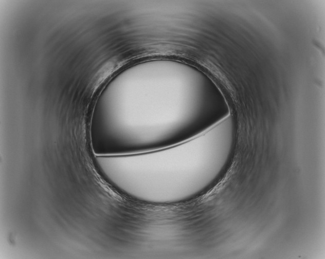X0000098040834200803281430
