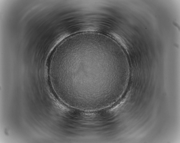 X0000098040835200803281430