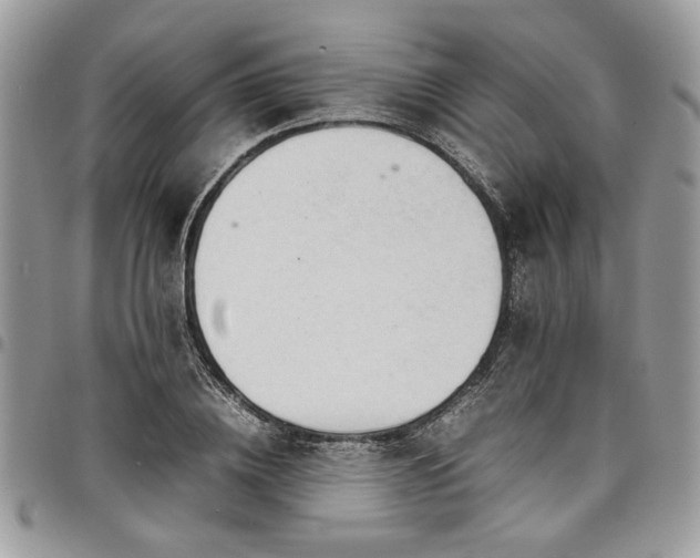 X0000098040836200803281430