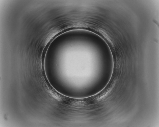 X0000098040837200803281430