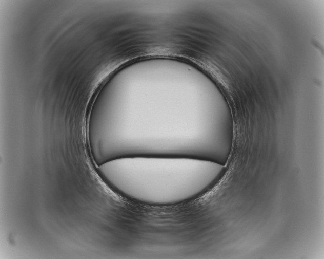 X0000098040839200803281430