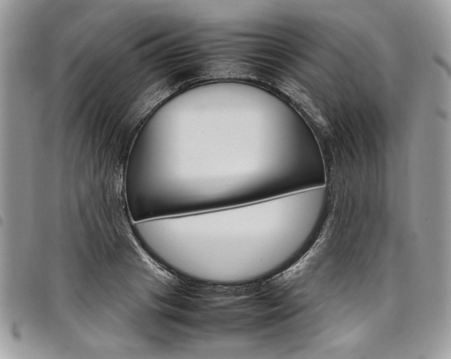X0000098040841200803281430