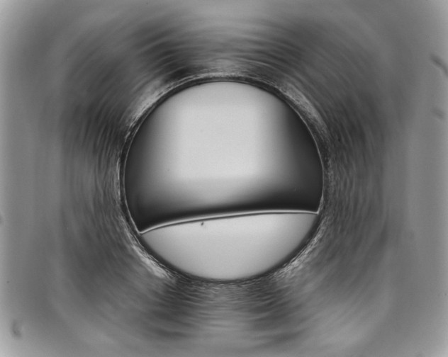 X0000098040842200803281430
