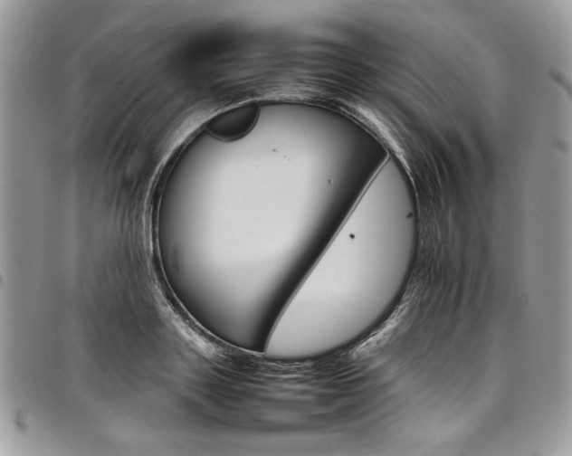 X0000098040843200803281430