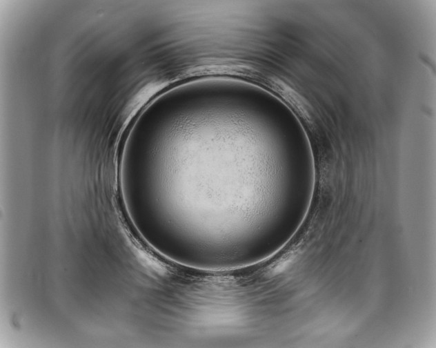 X0000098040844200803281430