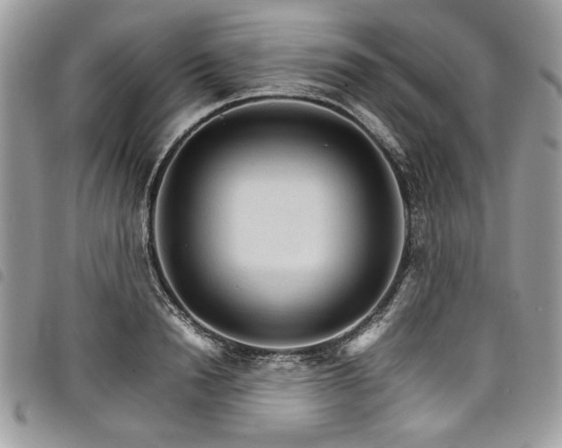 X0000098040846200803281430