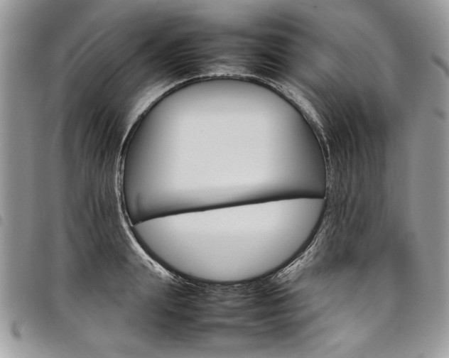 X0000098040847200803281430