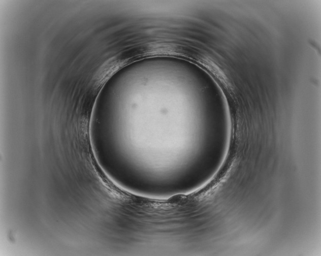 X0000098040849200803281430