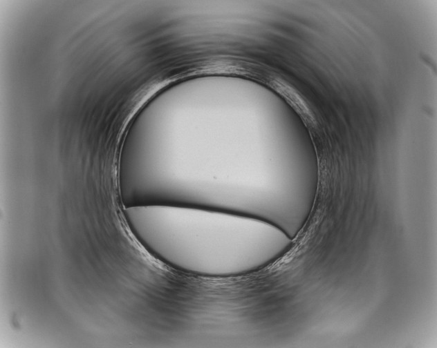X0000098040852200803281430