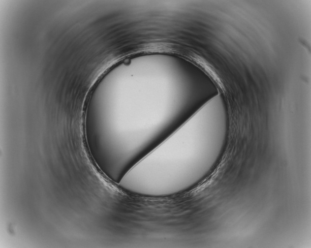 X0000098040853200803281430