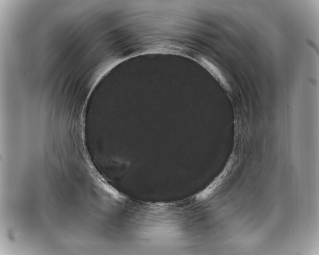 X0000098040854200803281430