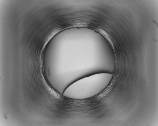 X0000098040859200803281430