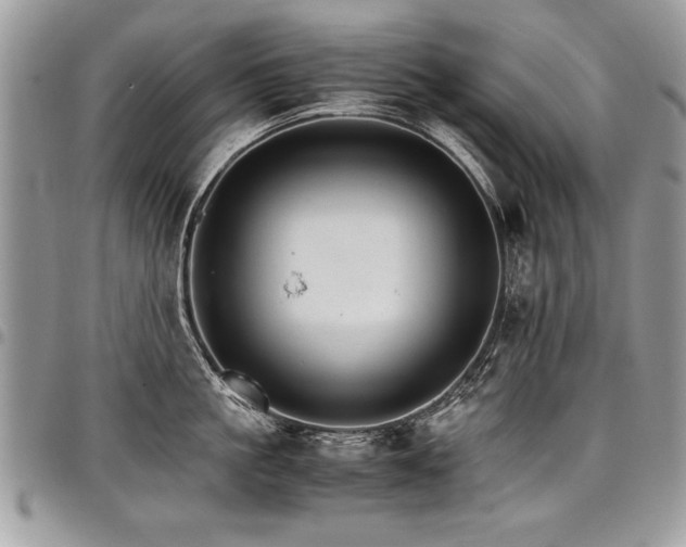X0000098040861200803281430