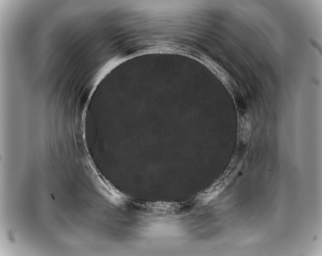 X0000098040862200803281430
