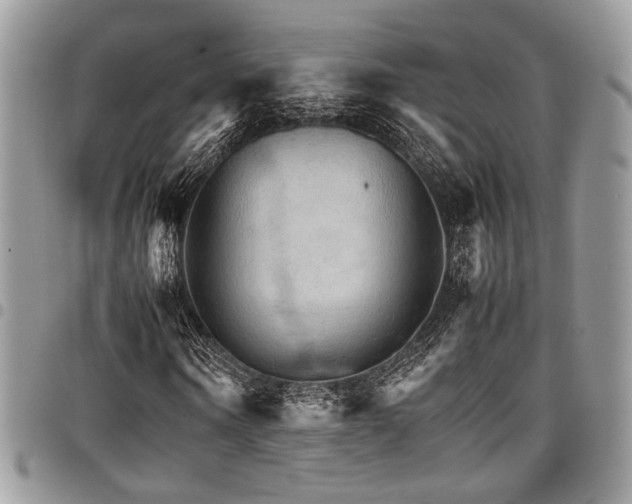X0000098040866200803281430