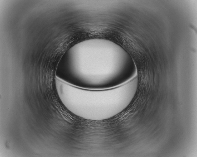 X0000098040868200803281430