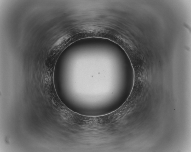 X0000098040869200803281430