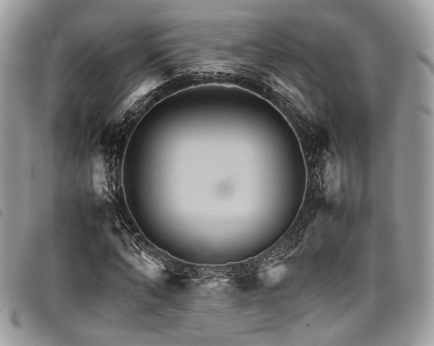 X0000098040870200803281430