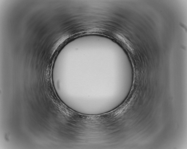 X0000098040875200803281429