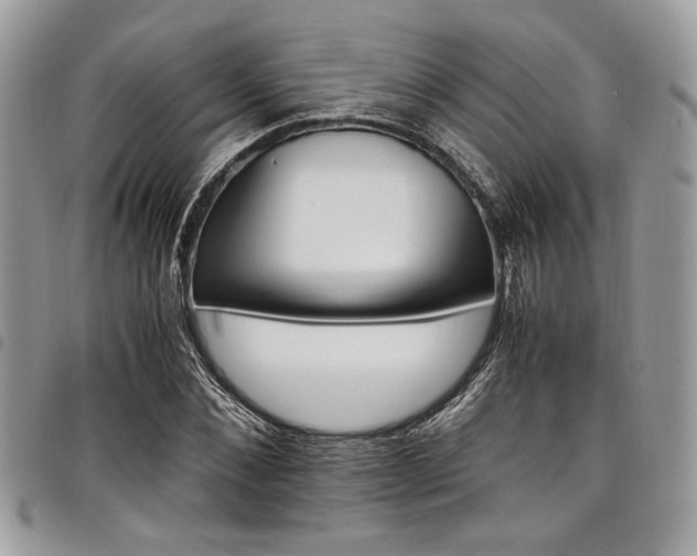 X0000098040876200803281429