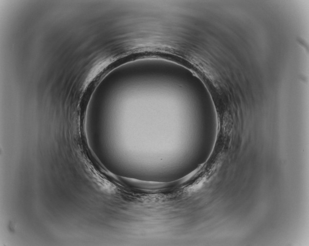 X0000098040877200803281429