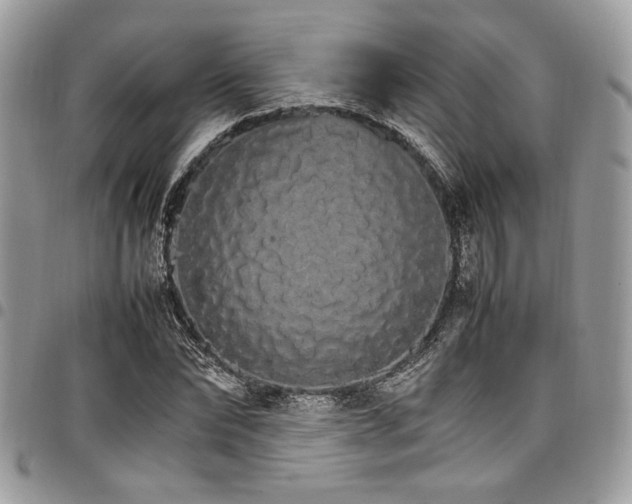 X0000098040878200803281429