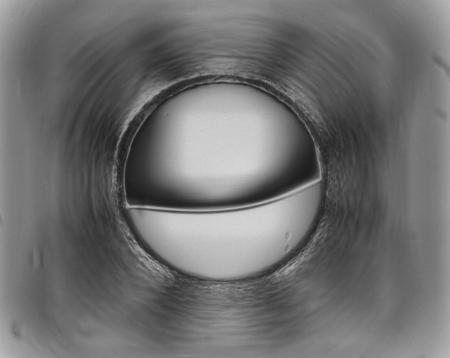 X0000098040880200803281429