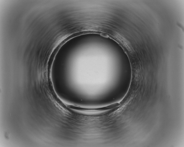 X0000098040884200803281429