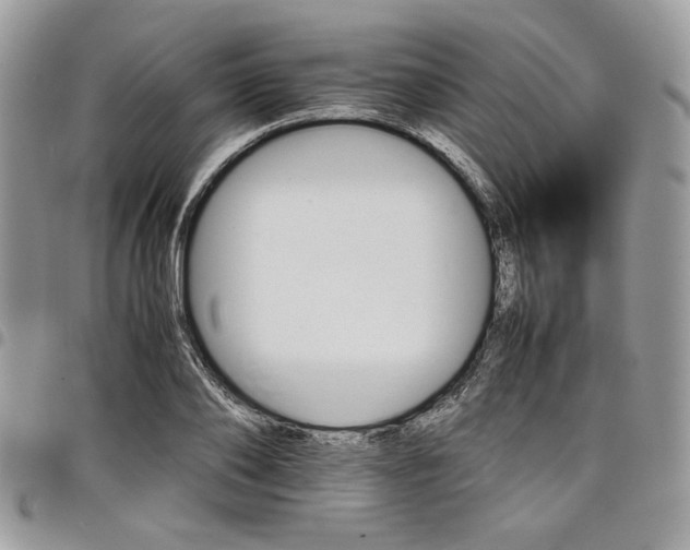 X0000098040886200803281429