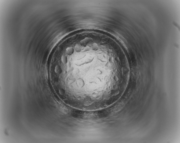 X0000098040887200803281429