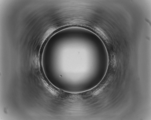 X0000098040888200803281429