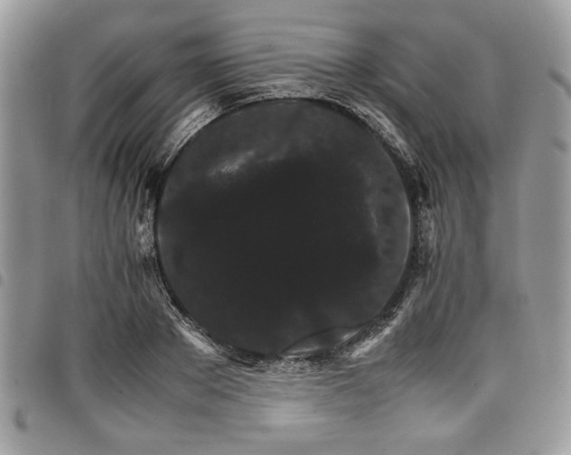 X0000098040889200803281429