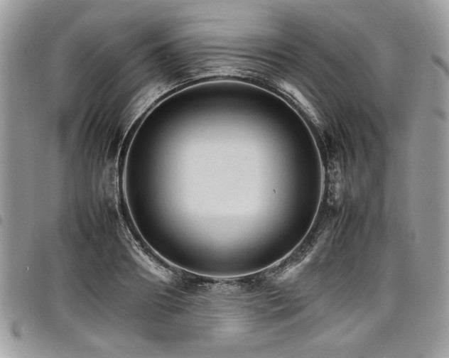 X0000098040890200803281429