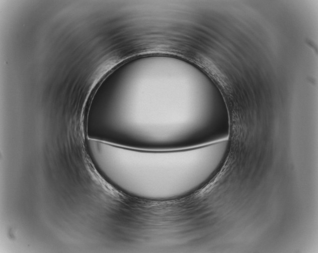 X0000098040892200803281429