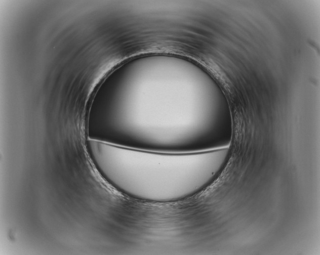 X0000098040896200803281429