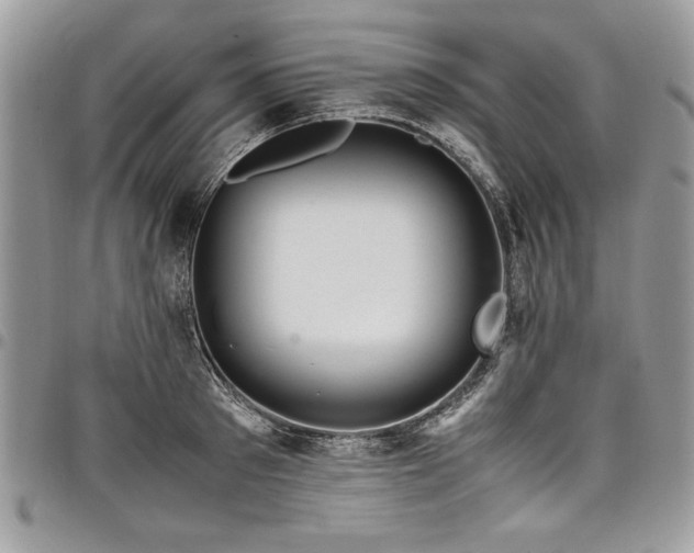 X0000098040897200803281429