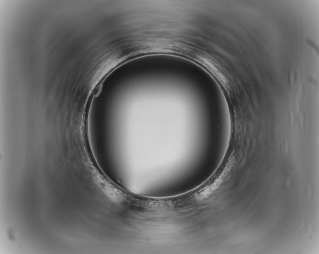 X0000098040901200803281429
