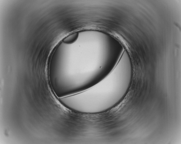 X0000098040902200803281429