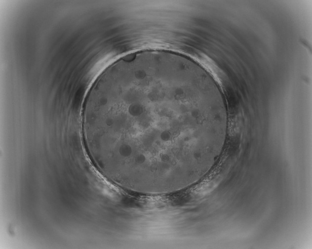 X0000098040903200803281429