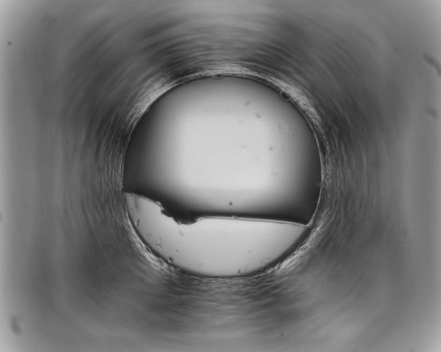 X0000098040905200803281429