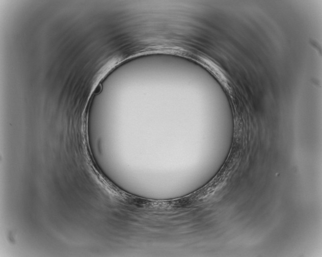 X0000098040907200803281429