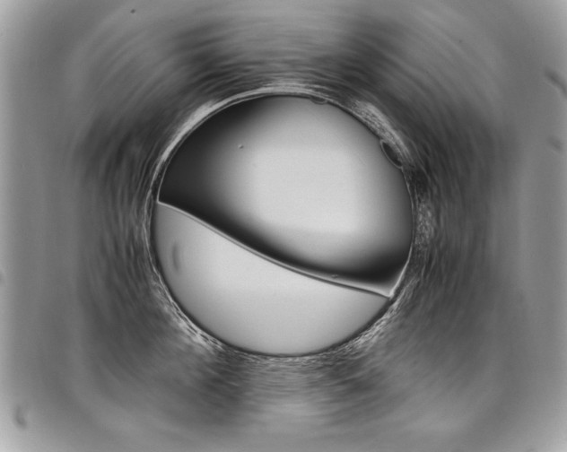 X0000098040908200803281429
